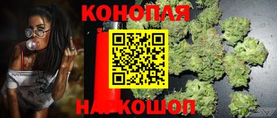 PSILOCYBIN Дубна