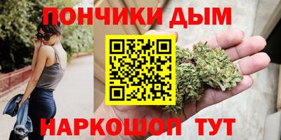 шишки Абакан
