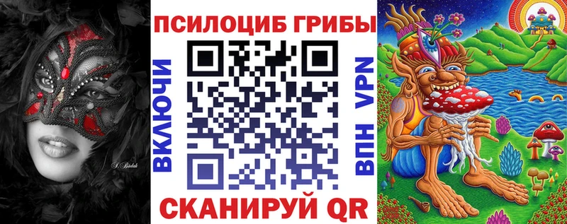 Псилоцибиновые грибы Cubensis  сколько стоит  Нарткала 