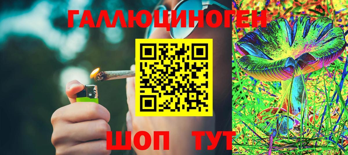 Галлюциногенные грибы Magic Shrooms  Вход с VPN  Нарткала  Галлюциногенные грибы Magic Shrooms 